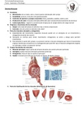 Guía de estudio: Anatomía y fisiología muscular, contracción muscular y clasificación de músculos