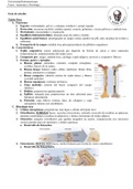 Guía de estudio: Tejido óseo y fisiología de células osteocitas en remodelación y recontrucción de huesos
