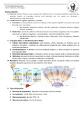 Guías de estudio anatomía y fisiología