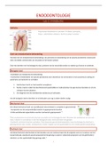 Endodontologie samenvatting prof. Pedano