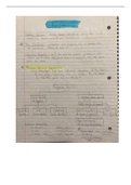  Business Law Chapter 2 Notes