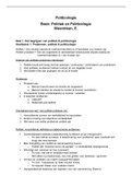 Volledige samenvatting Politicologie&comma; Politiek en Politicologie Woerdman&comma; E&period;