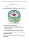 Deel 3 van het boek Praktische pedagogiek voor sociaal werk