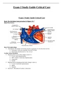 NR 340-Exam 2 Study Guide-Critical Care&period;docx