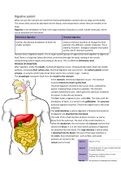 IGCSE-Biology-Digestive system