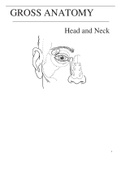 Study material for Head and Neck Anatomy