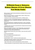 NUR2020 Exam 2- Seizures&comma; Kidney Disease&comma; & Liver Disease Test Study Guide 