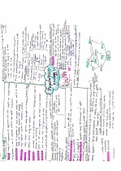 Class notes Life Sciences (Biology) 