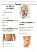resumen ANATOMIA HUMANA- MEDICINA &lpar;Libro latarjet y Netter&rpar;