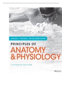 Test Bank - Principles of Anatomy and Physiology&comma; 12th Edition&comma; by Bryan Derrickson&comma; Gerald Tortora&period;