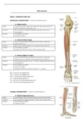 Anatomie BOKS blok B : Werk, Sport en Hobby