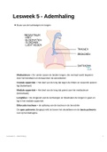 Samenvatting Anatomie en Fysiologie ademhaling OWE 1