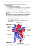 Rode loper cardiogene shock