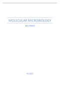 Minor Biomolecular Sciences VU Amsterdam (ECB I&II, Molecular Cell Biology and Molecular Microbiology)