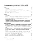 Complete samenvatting stof CIW-lab 2021 (samenvatting van alle leesstof + aantekeningen hoorcollege)
