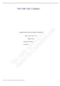 NSG C489 -Task 3 Template&period;