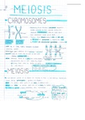 Mitosis and Meiosis Grade 12 Summaries