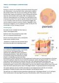 NR507 Final Exam 2024 &sol; NR 507 Week 8 Exam Advanced Pathophysiology Expected Questions and Answers &lpar;2024 &sol; 2025&rpar; &lpar;Verified Answers&rpar;- Chamberlain