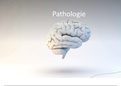 Samenvatting Pathologie voor verpleegkundigen, ISBN: 9789043036948  Medische Kennis 