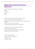 Document preview thumbnail