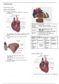 ATI CARDIOVASCULAR SYSTEM &lpar;Latest 2021&rpar; Study Guide&comma; Download to Score A