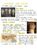 Introducción a la Historia del Arte y Arte Egipcio