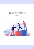 Samenvatting groepsdynamica deel 3 : teamwerking 