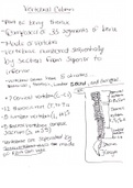 Class notes Speech Anatomy Notes 