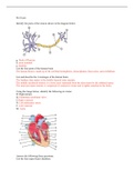 BIOD 152 A&P 2 - Pre Exam:102 /AP2. Questions and Answers 1-6 Complete Solution Guide.