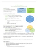 Extensive lecture notes, including notes from the tutorials - International Marketing 