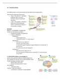 Samenvatting H9 Fundamentals of Human Neuropsychology