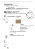 Natuurwetenschappen  - Leerboek Kern: Hoofdstuk 1: Cellen delen: mitose en meiose