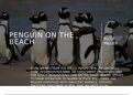 English GR12 IEB: Penguin on the Beach poem analysis