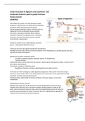 Summary Endocrine System and Digestive and Respiratory Tract lectures including drugs