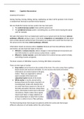 Lecture Notes Cognitive Neuroscience Minor Brain and Mind VU