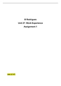 Unit 27 Work Experience in Business Assignment A (P1,M1,D1) DISTINCTION*