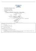 HESI Critical Care Cardiac Hemodynamics