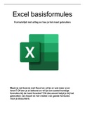 Samenvatting Excel | Basisregels, formules en handige tips&trics! | Afgerond met een 10