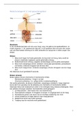Samenvatting medische biolgie BS3&4