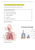 Respiratory System Revision 