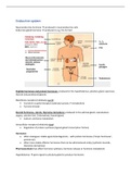 Summary of all lectures Endocrine Systeme and Digestive Tract