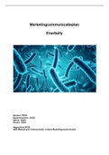 Moduleopdracht Marketingcommunicatie Case Enerbelly CIJFER 7