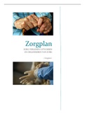 Vakmanschap 5 - Zorgplan 