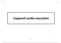 histologie cardio vasculaire 