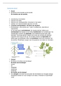 Biologie  - anatomie plant, biodiversiteit en voedselrelaties samenvatting, havo/vwo 1