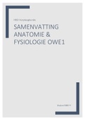 Samenvatting Anatomie en Fysiologie HBO-V leerjaar 1