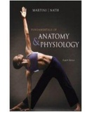 Test Bank for Fundamentals of Anatomy and Physiology 8th Edition by Martini