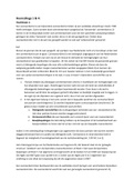 Samenvatting Bijzondere Overeenkomsten RUG 2021/2022