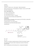 Vorlesung 9: Photosynthese (Licht --& Dunkelreaktion, Plastiden, Kohlenstoff Metabolismus, Phloemtransport