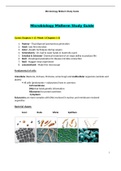 BIOS242 Microbiology Midterm Exam Guide / BIOS 242 Microbiology Midterm Exam Guide (Latest-2021): Chamberlain College Of Nursing | Complete Document to Score “A” Grade |